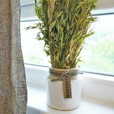 Work And Centrum アパート *